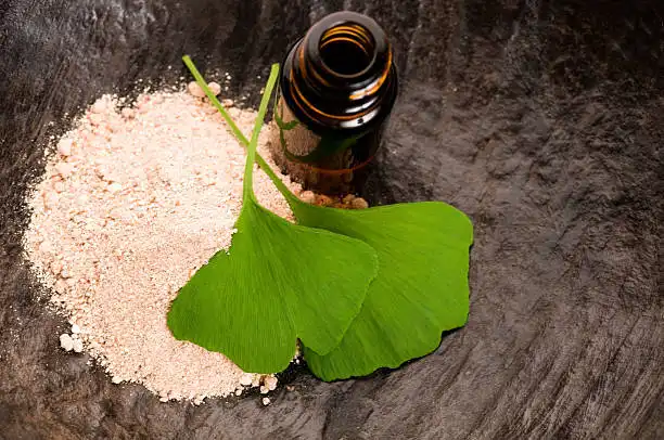 Fermented Ginkgo Biloba Powder: Can It Be Used in Skin Care Products?