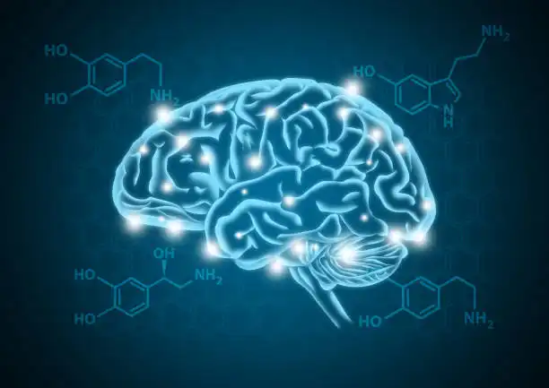 How does l-tryptophan work?