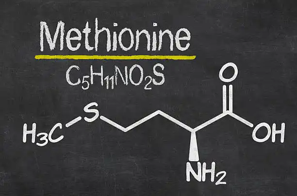 How much Methionine should I take?