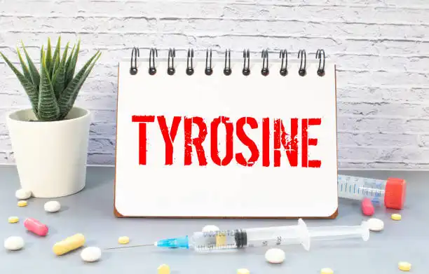 How long does it take L Tyrosine to work?