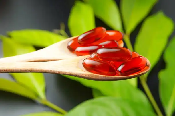 What Is Fucoxanthin Oil and Its Benefits?