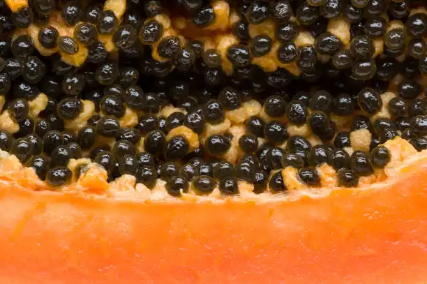 Boost Immunity with Fermented Papaya Powder