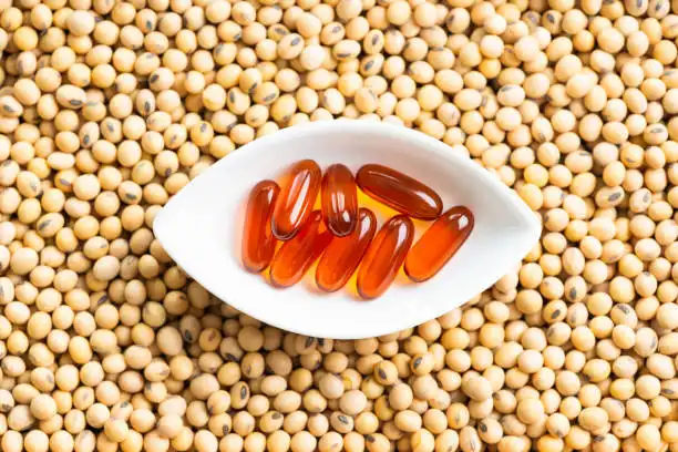 Is soy lecithin vegan?